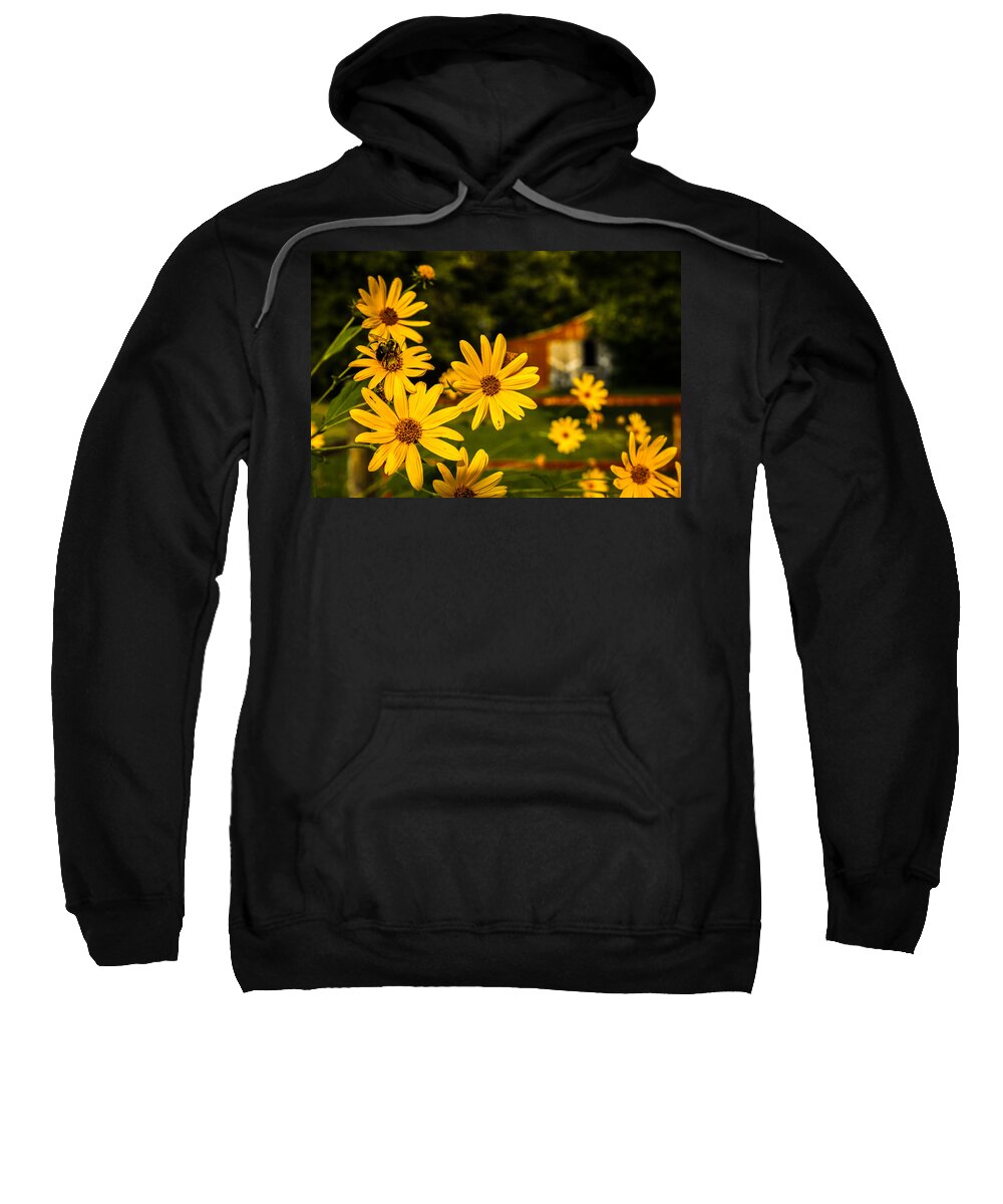 Barn Sweatshirt featuring the photograph Bumble Bee on a Western Sunflower by Ron Pate