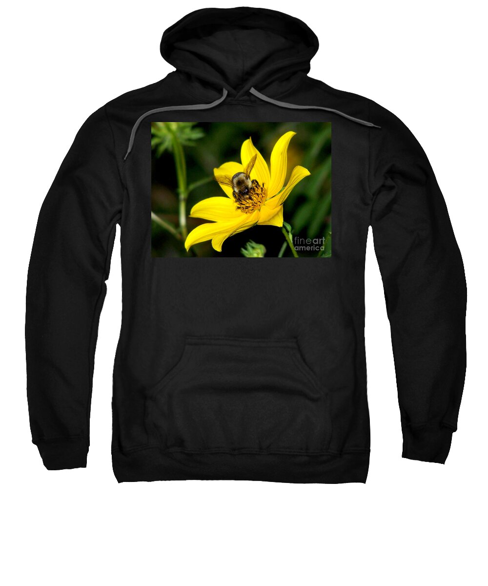 Busy As A Bee Sweatshirt featuring the photograph Busy As A Bee by Kathy White