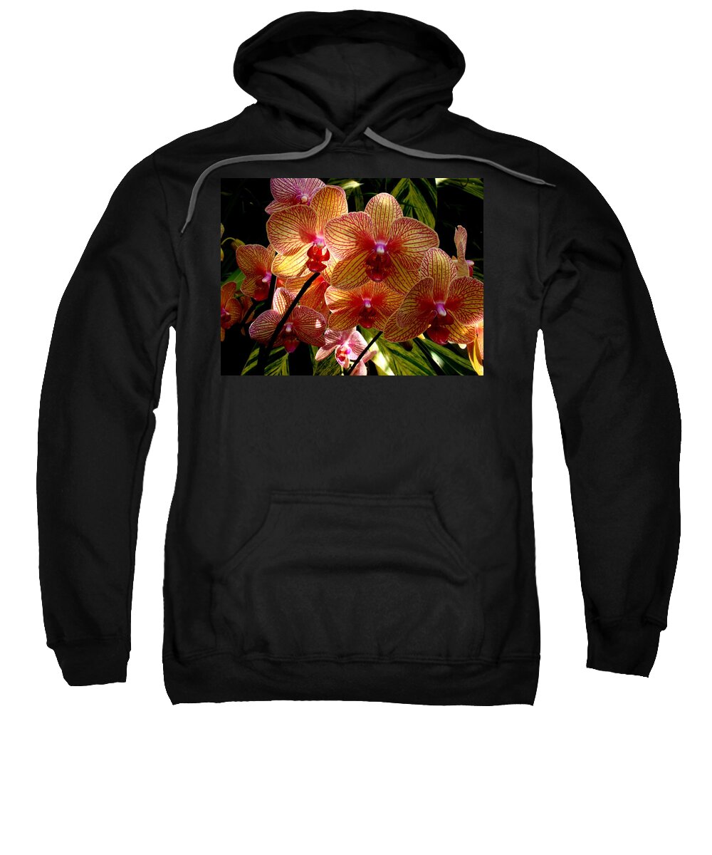 Flowers Sweatshirt featuring the photograph Butterfly Orchids by Rodney Lee Williams