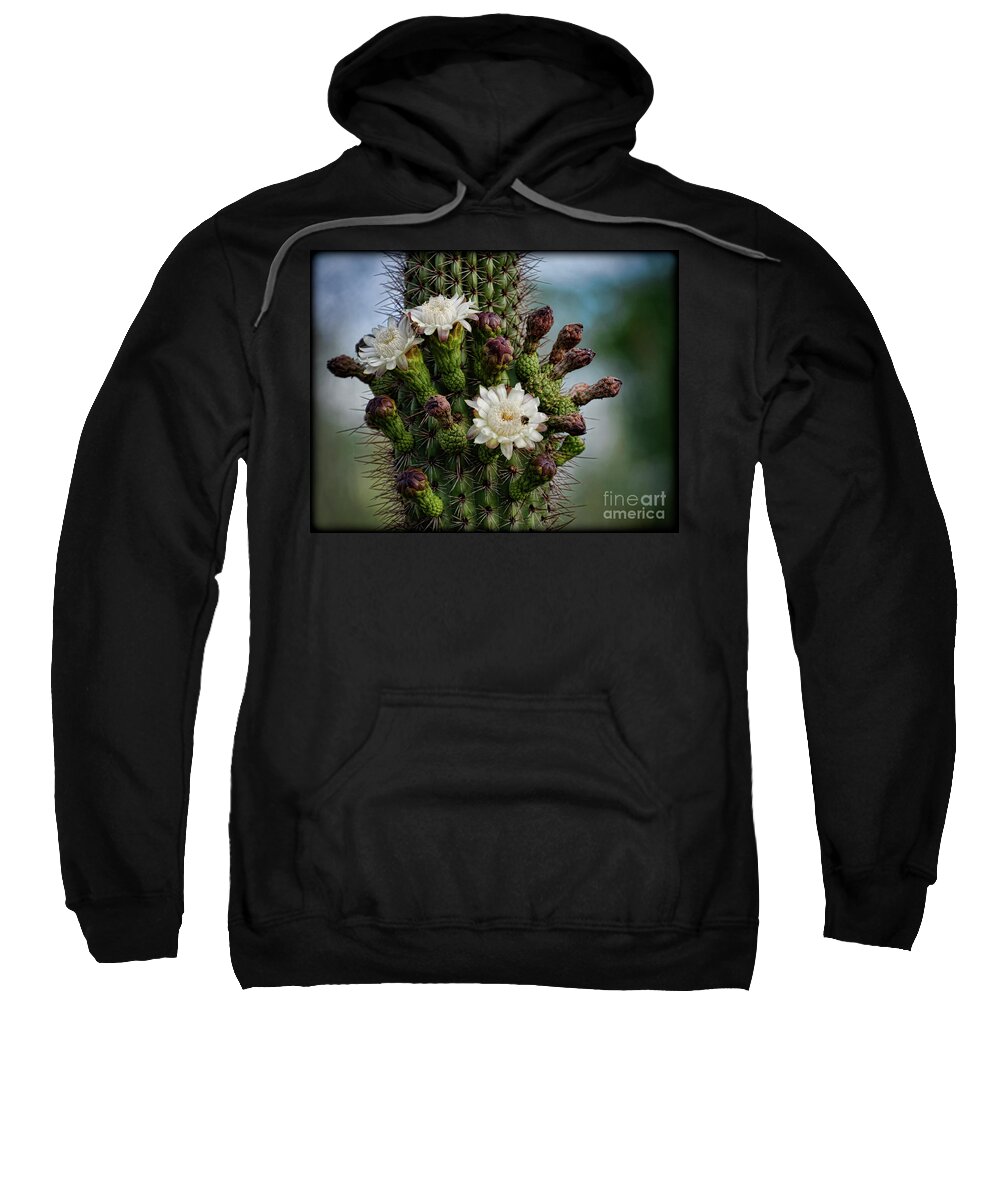 Organ Pipe Cactus Flowers Sweatshirt featuring the photograph Cacti Bouquet by Saija Lehtonen