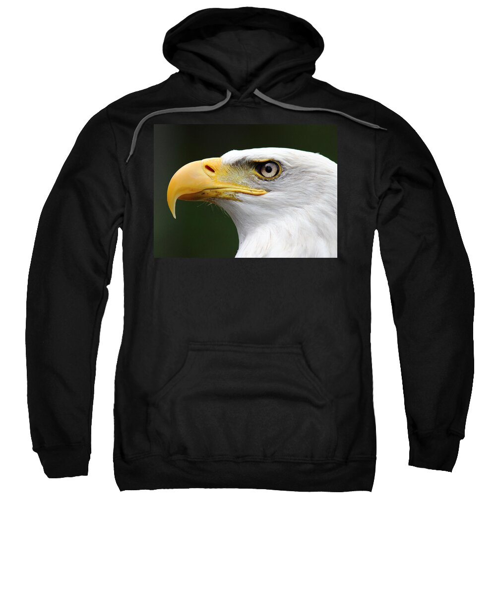 Bald Eagle Sweatshirt featuring the photograph Canadian Bald Eagle by Randy Hall