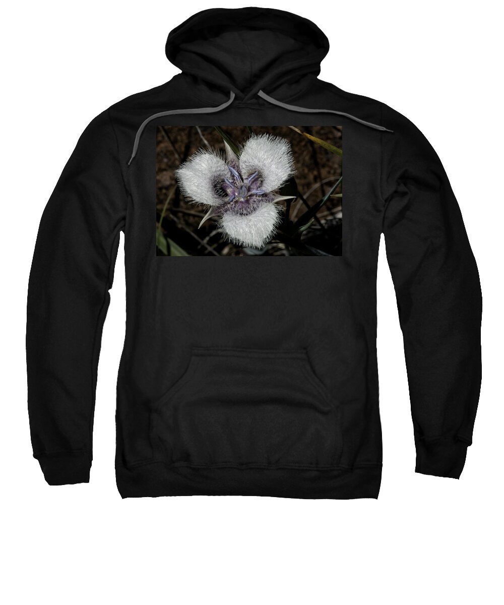 Cats Ears Sweatshirt featuring the photograph Cats Ears by Betty Depee