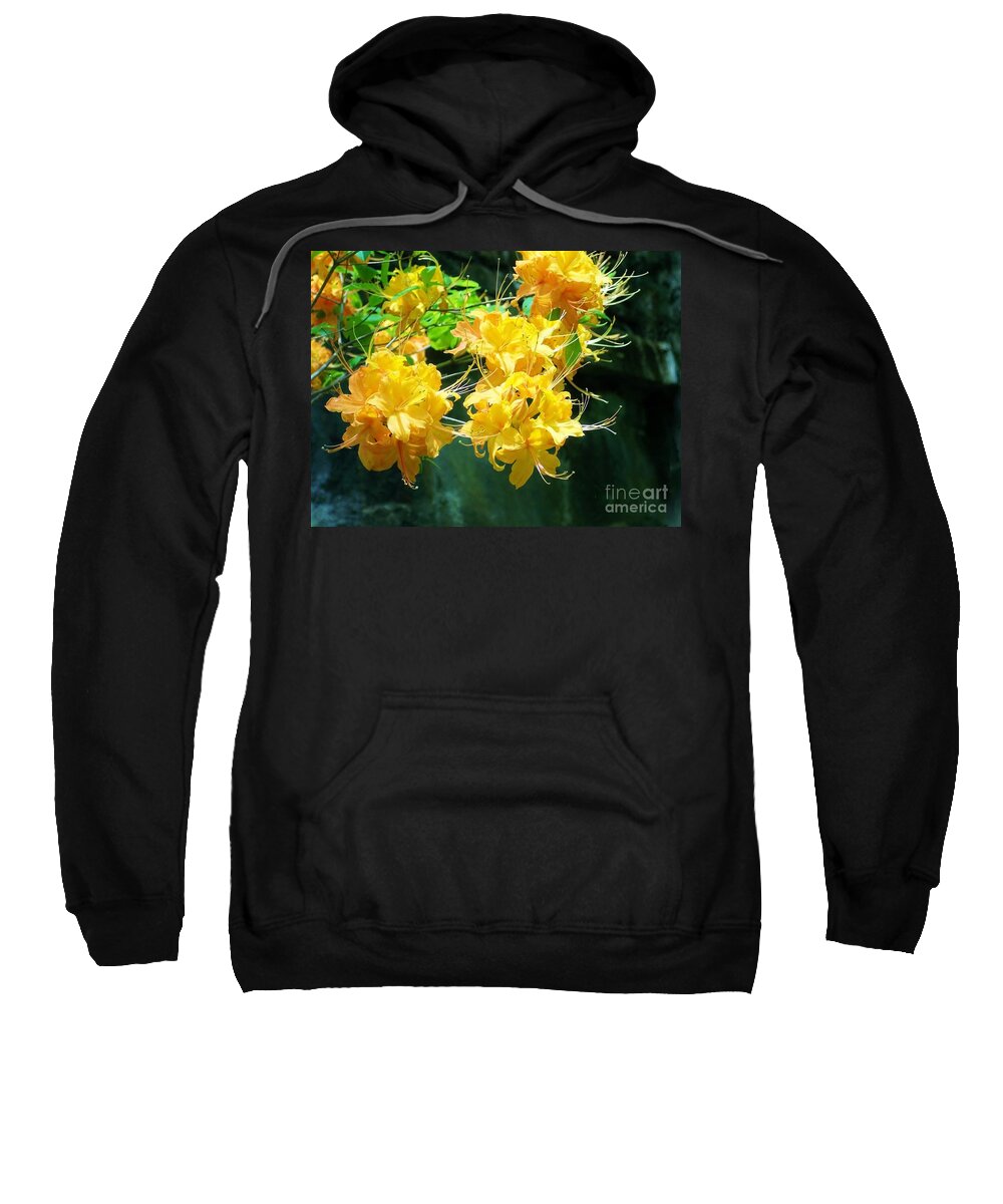 Centered Sweatshirt featuring the photograph Centered Yellow Floral by Roberta Byram