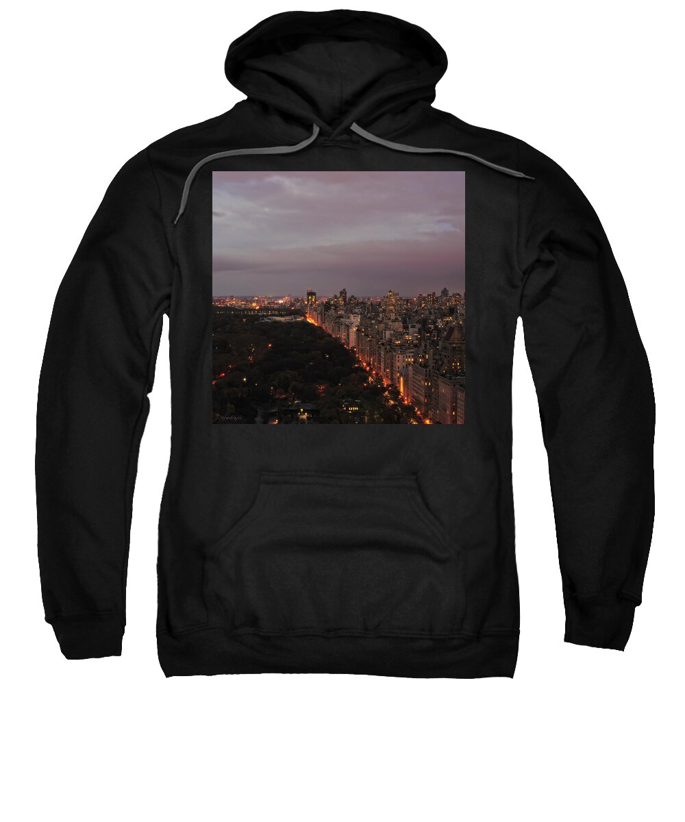 Nyc Sweatshirt featuring the photograph Central Park Nyc Eve by Joseph Hedaya