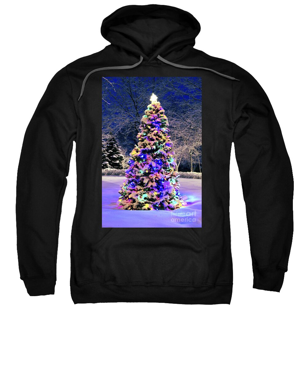 Christmas Sweatshirt featuring the photograph Christmas tree in snow by Elena Elisseeva