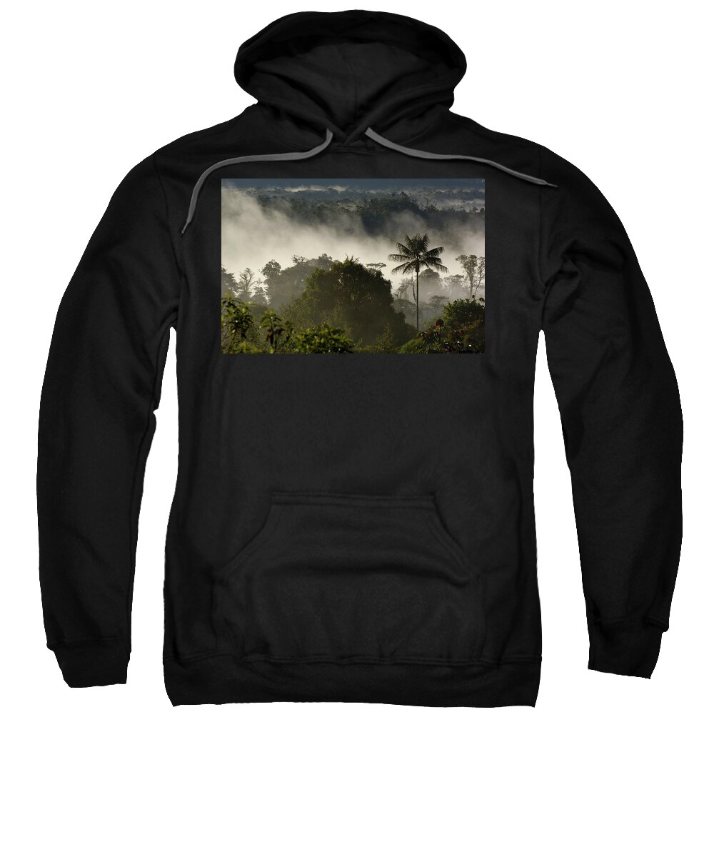 00210691 Sweatshirt featuring the photograph Cloud Forest in the Mist by Pete Oxford