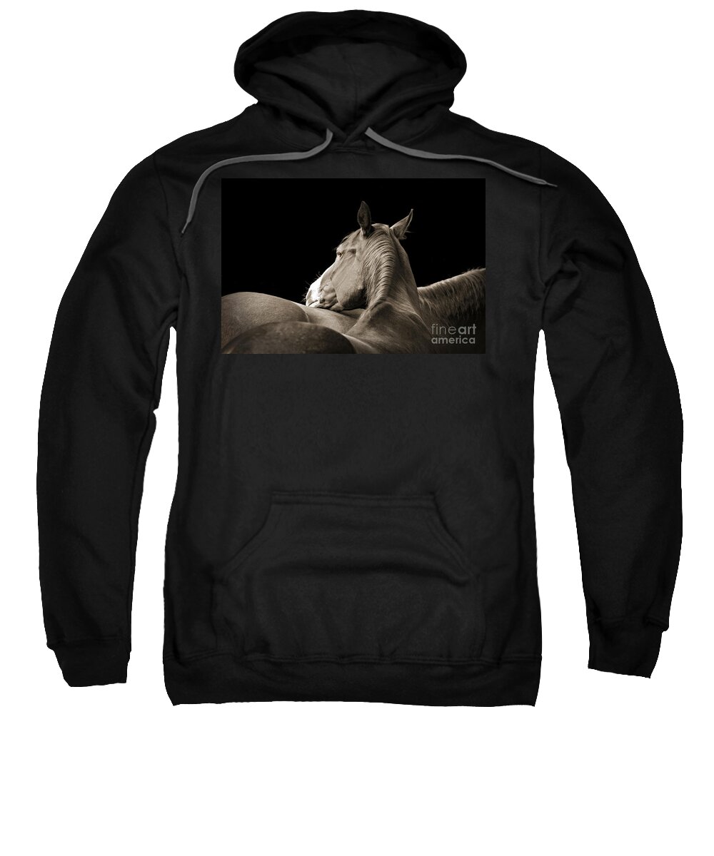 Nature Sweatshirt featuring the photograph Comfort by Michelle Twohig