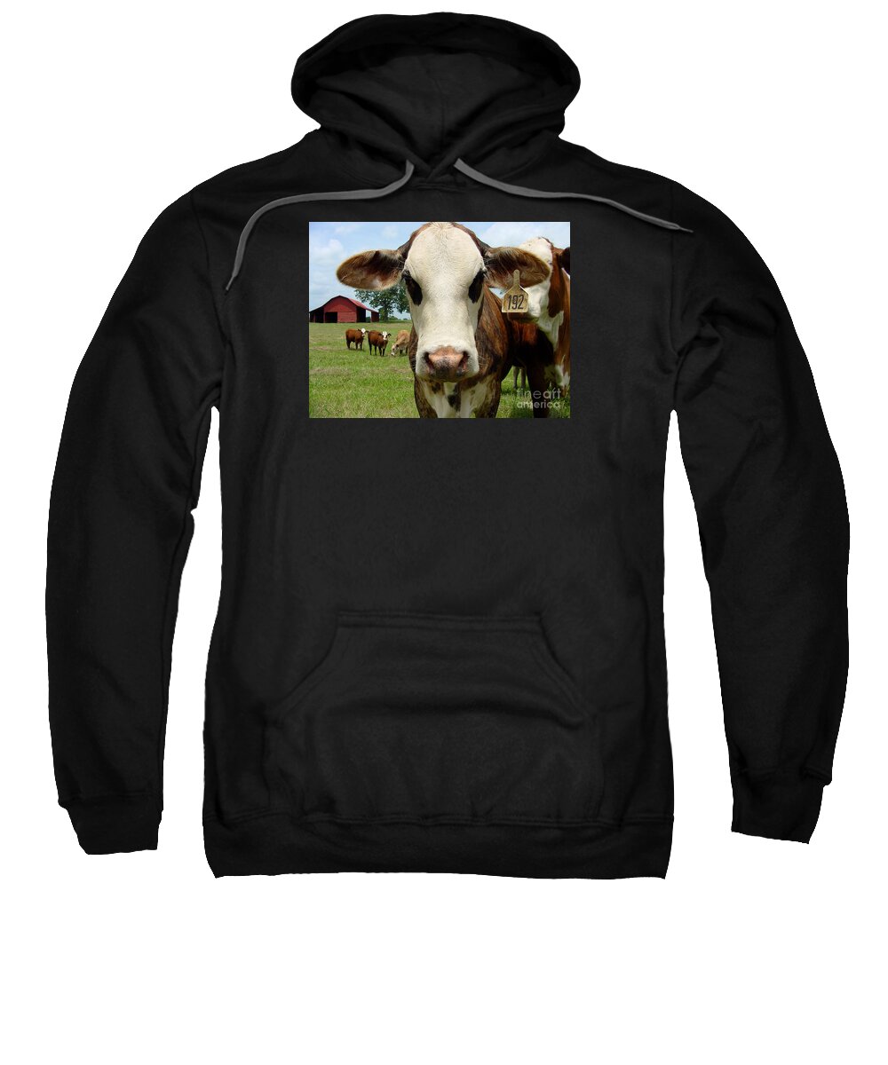 Cow Sweatshirt featuring the photograph Cows8957 by Gary Gingrich Galleries