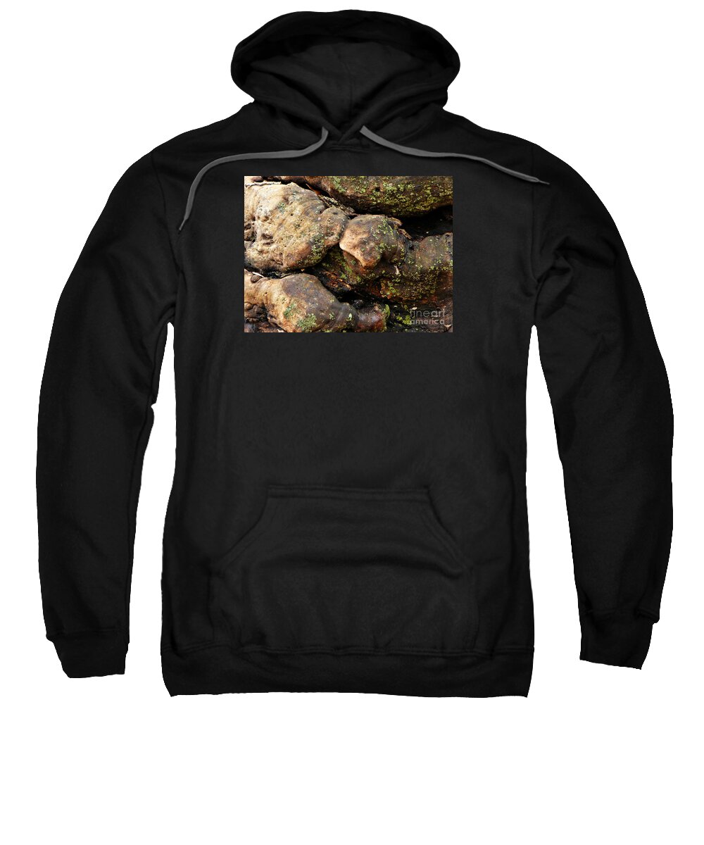 Tree Sweatshirt featuring the photograph Crotchety Old Moss Covered Tree Man by Chris Sotiriadis
