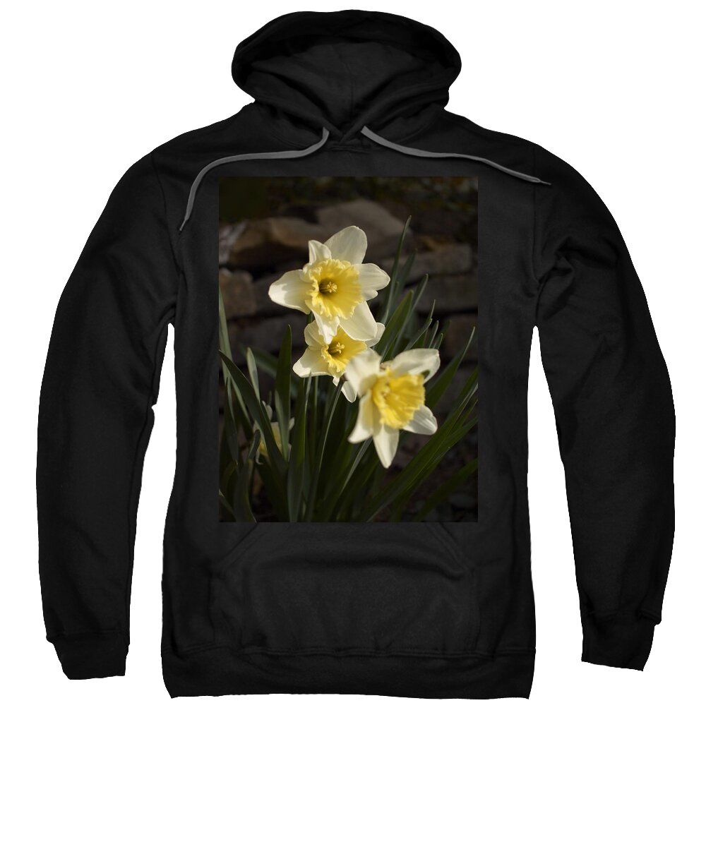 Daffodils Sweatshirt featuring the photograph Daffs by Steve Ondrus