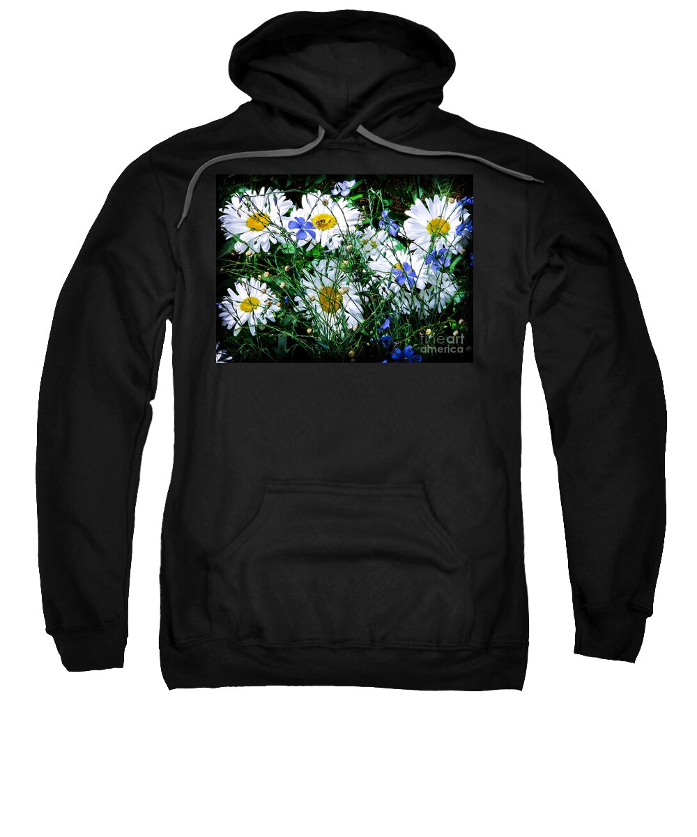 Flowers Sweatshirt featuring the photograph Daisies with Blue Flax and Bee by Roselynne Broussard