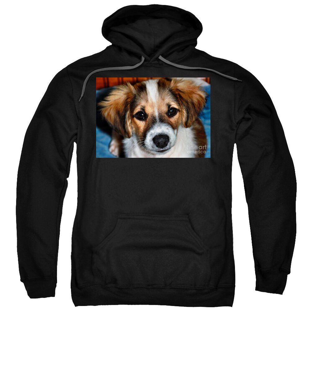 Dog Sweatshirt featuring the photograph Dakota by Judy Palkimas
