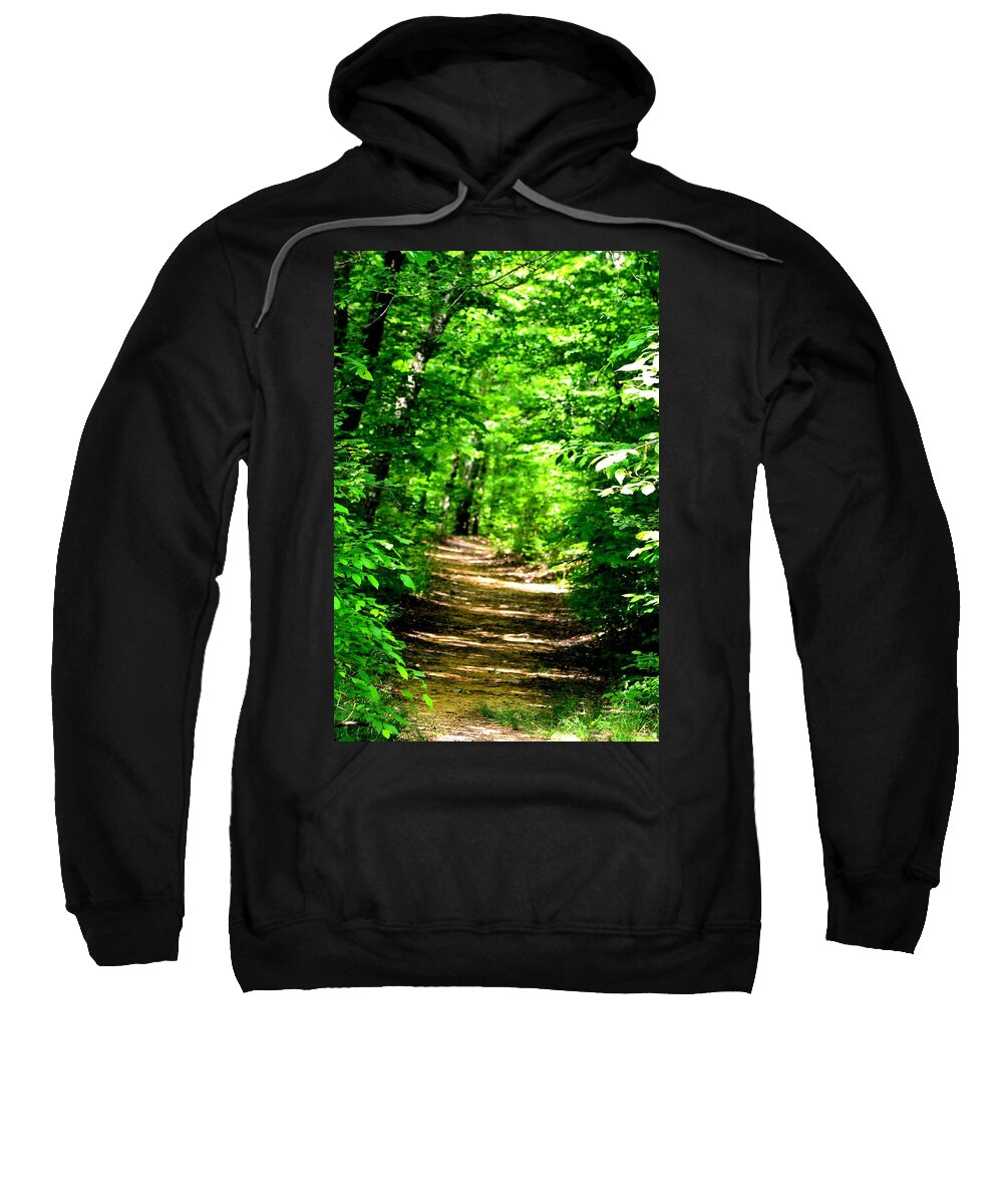 Dappled Sunlit Path In The Forest Sweatshirt featuring the photograph Dappled Sunlit Path in the Forest by Maria Urso