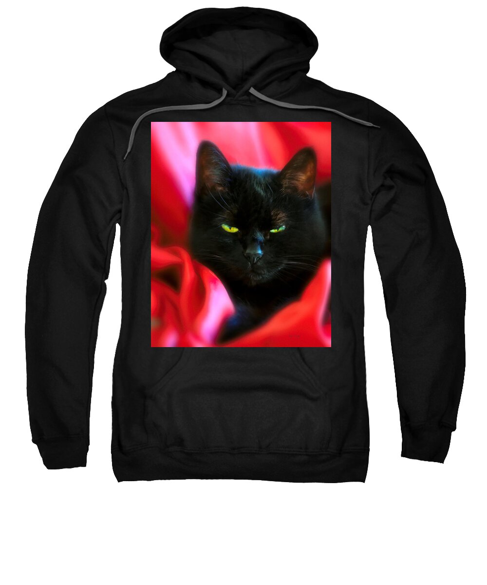 Black Cat Sweatshirt featuring the photograph Devil In A Red Dress by Bob Orsillo