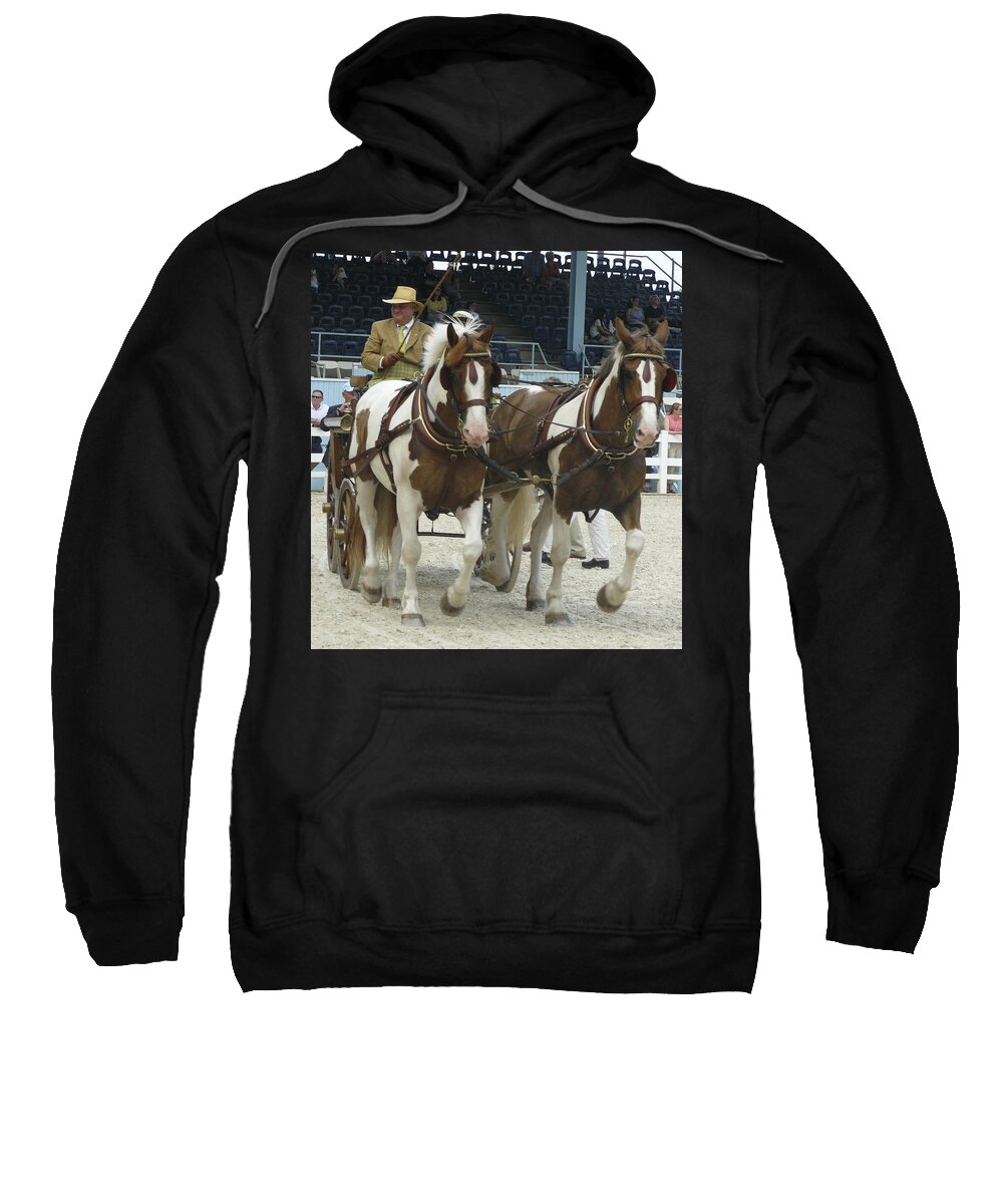 Devon Horse Show Sweatshirt featuring the photograph Devon a by Mary Ann Leitch
