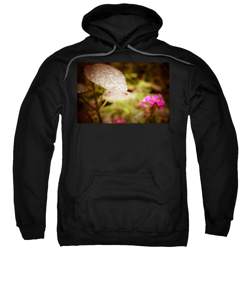 Red Ant Sweatshirt featuring the photograph Don't Look Down by Laureen Murtha Menzl
