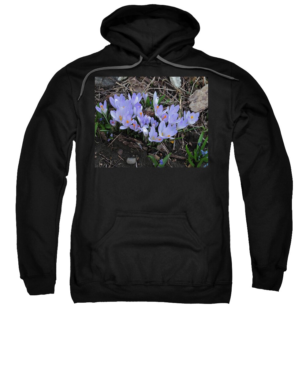 Crocus Sweatshirt featuring the photograph Early Crocuses by Donald S Hall