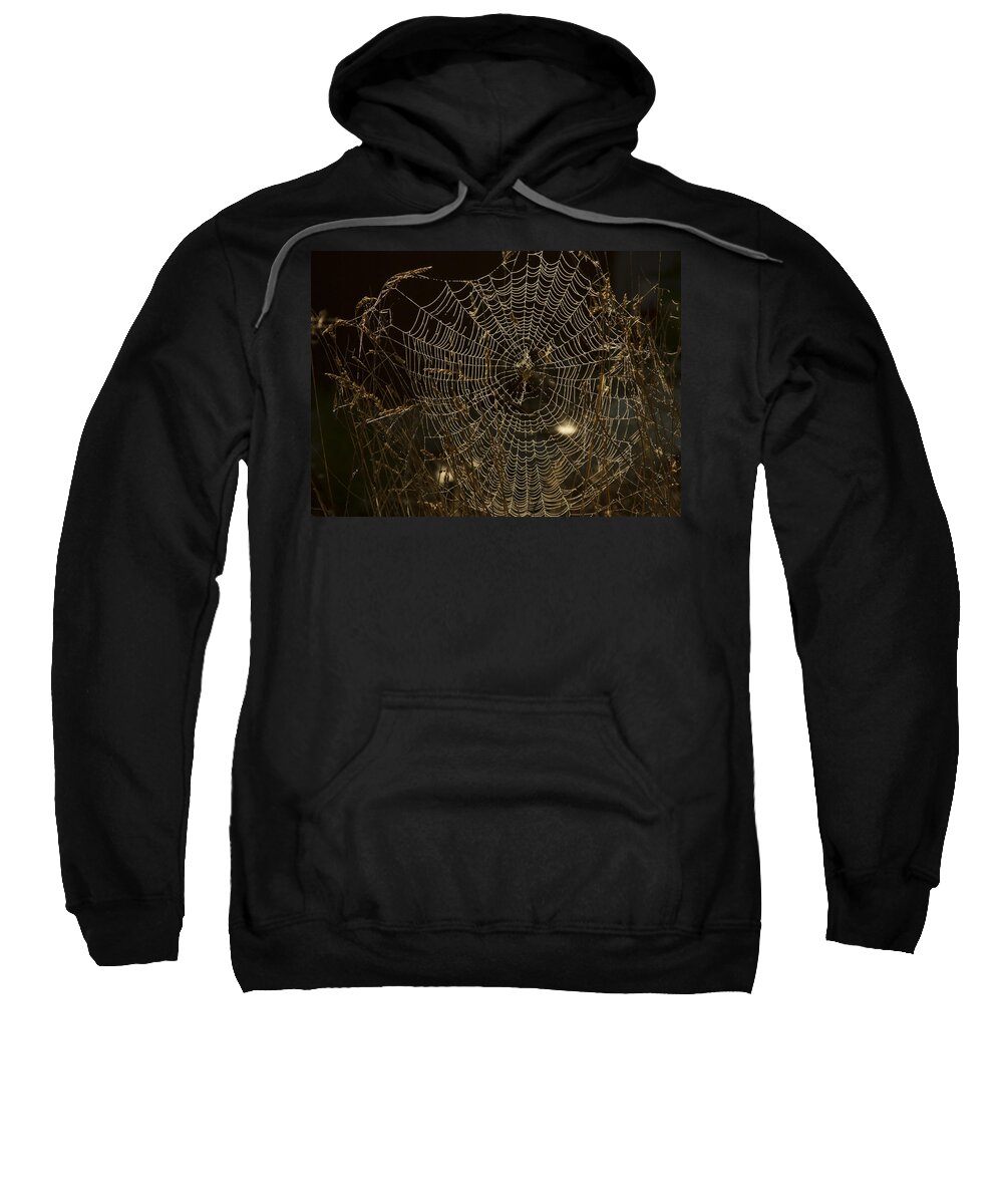 Spider Web Sweatshirt featuring the photograph Early Riser by David Yocum