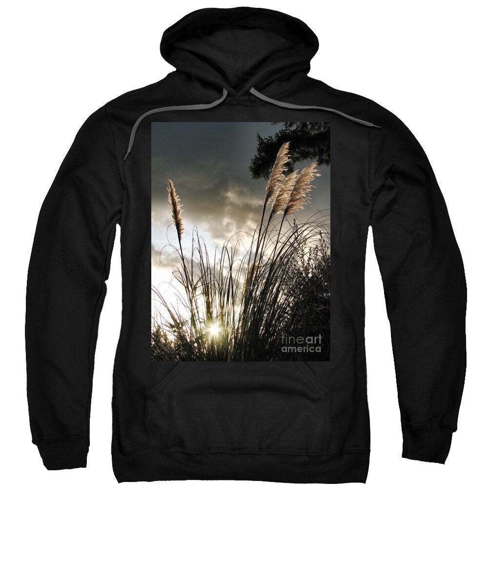 Landscape Sweatshirt featuring the photograph Embracing The Mystery by Rory Siegel