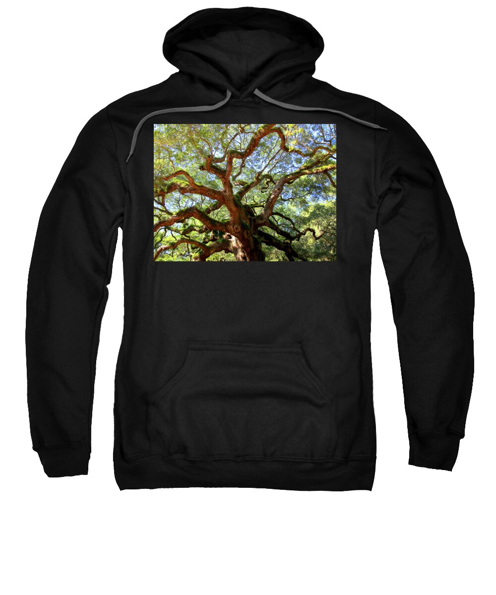 Charleston Sweatshirt featuring the photograph Entangled Beauty by Karen Wiles