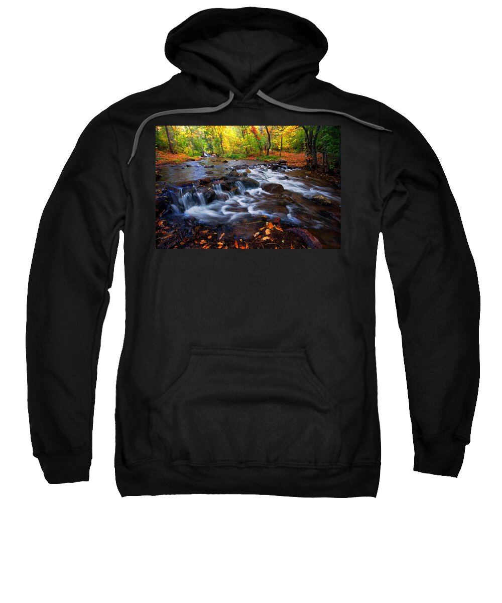 Fall Sweatshirt featuring the photograph Fall on Fountain Creek by Ronda Kimbrow
