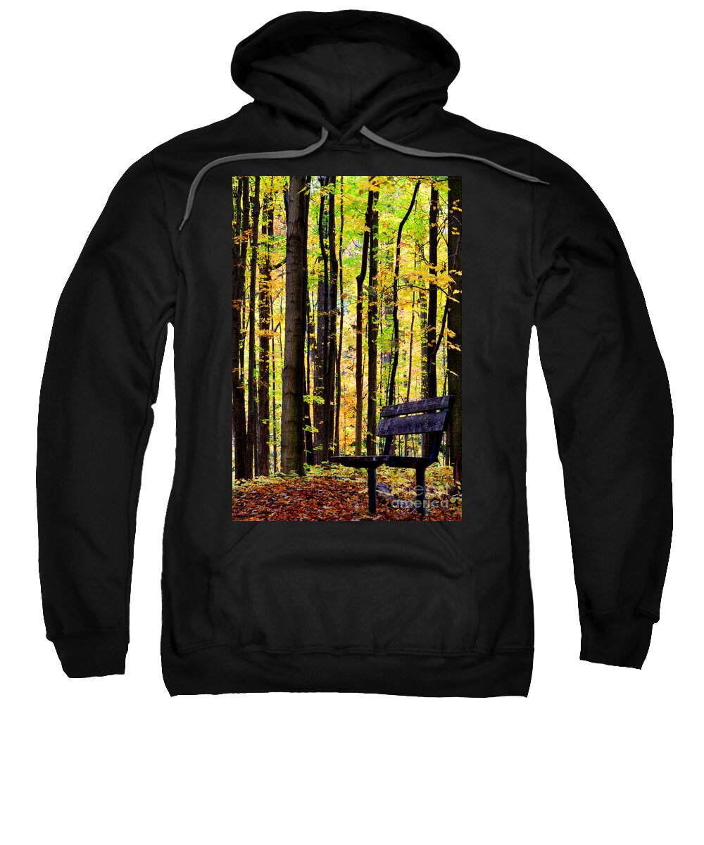 Leaves Sweatshirt featuring the photograph Fall Woods in Michigan by Michael Arend
