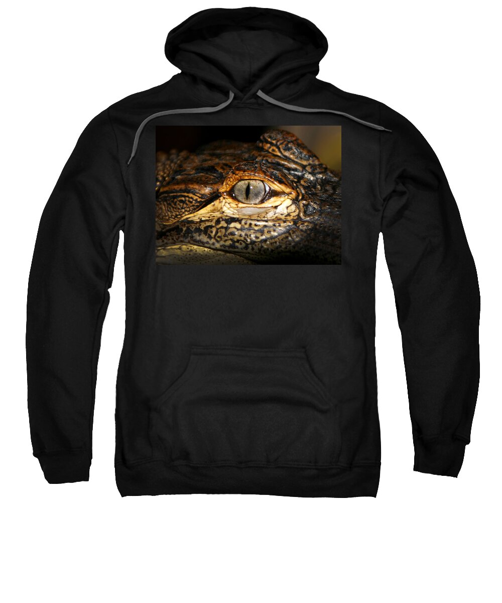 Gator Sweatshirt featuring the photograph Feisty Gator by Anthony Jones