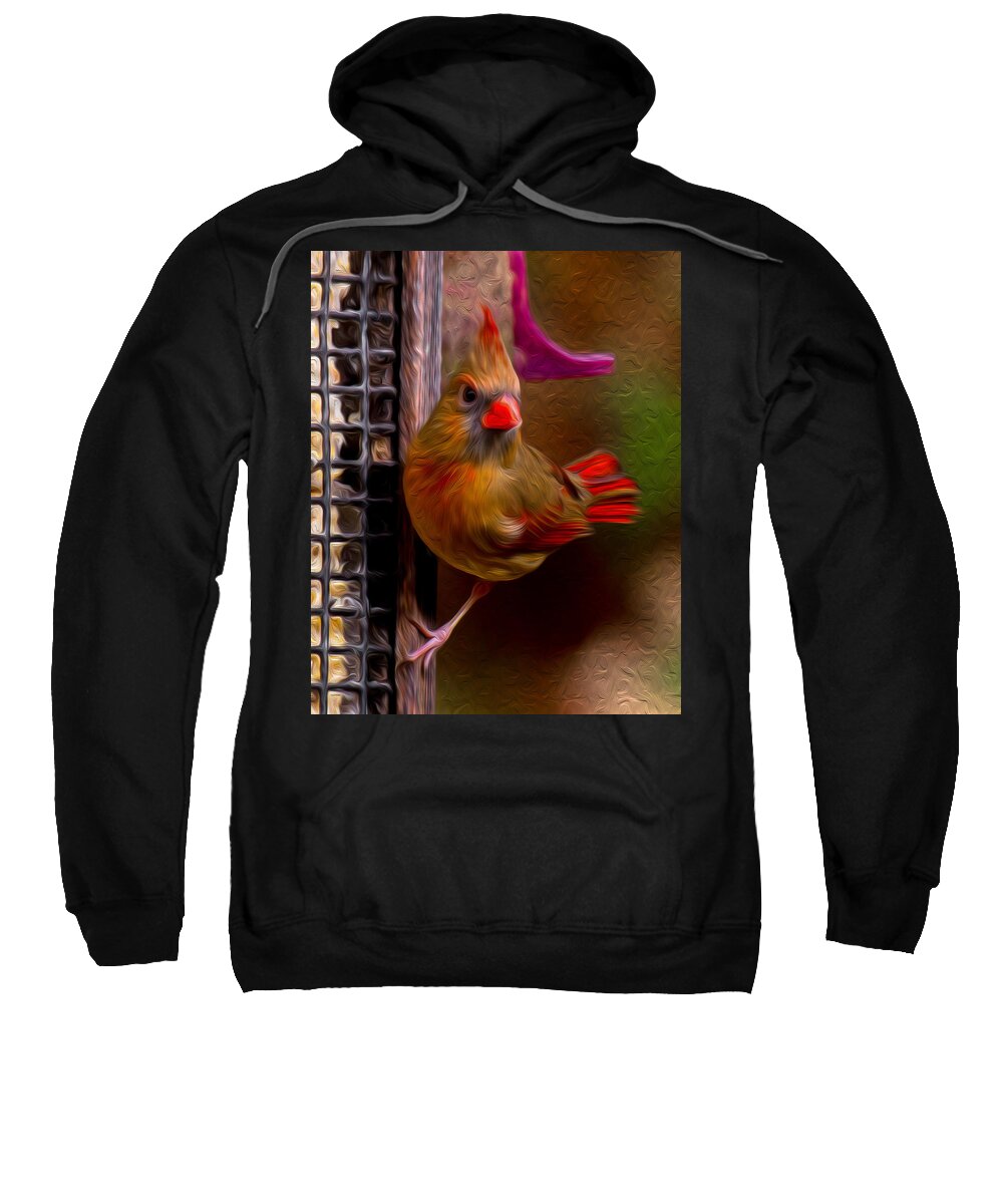 Female Northern Cardinal Sweatshirt featuring the photograph Female Northern Cardinal by Robert L Jackson