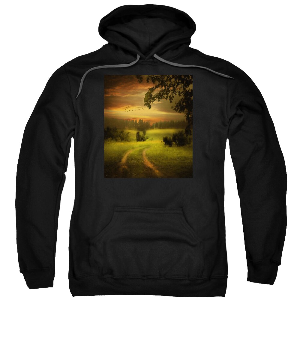Digital Painting Sweatshirt featuring the painting Fields Of Dreams by Georgiana Romanovna