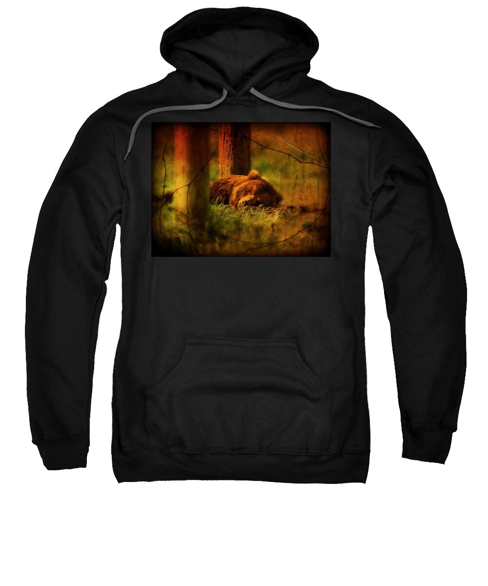 Bear Sweatshirt featuring the photograph Fiercely Tired by Micki Findlay