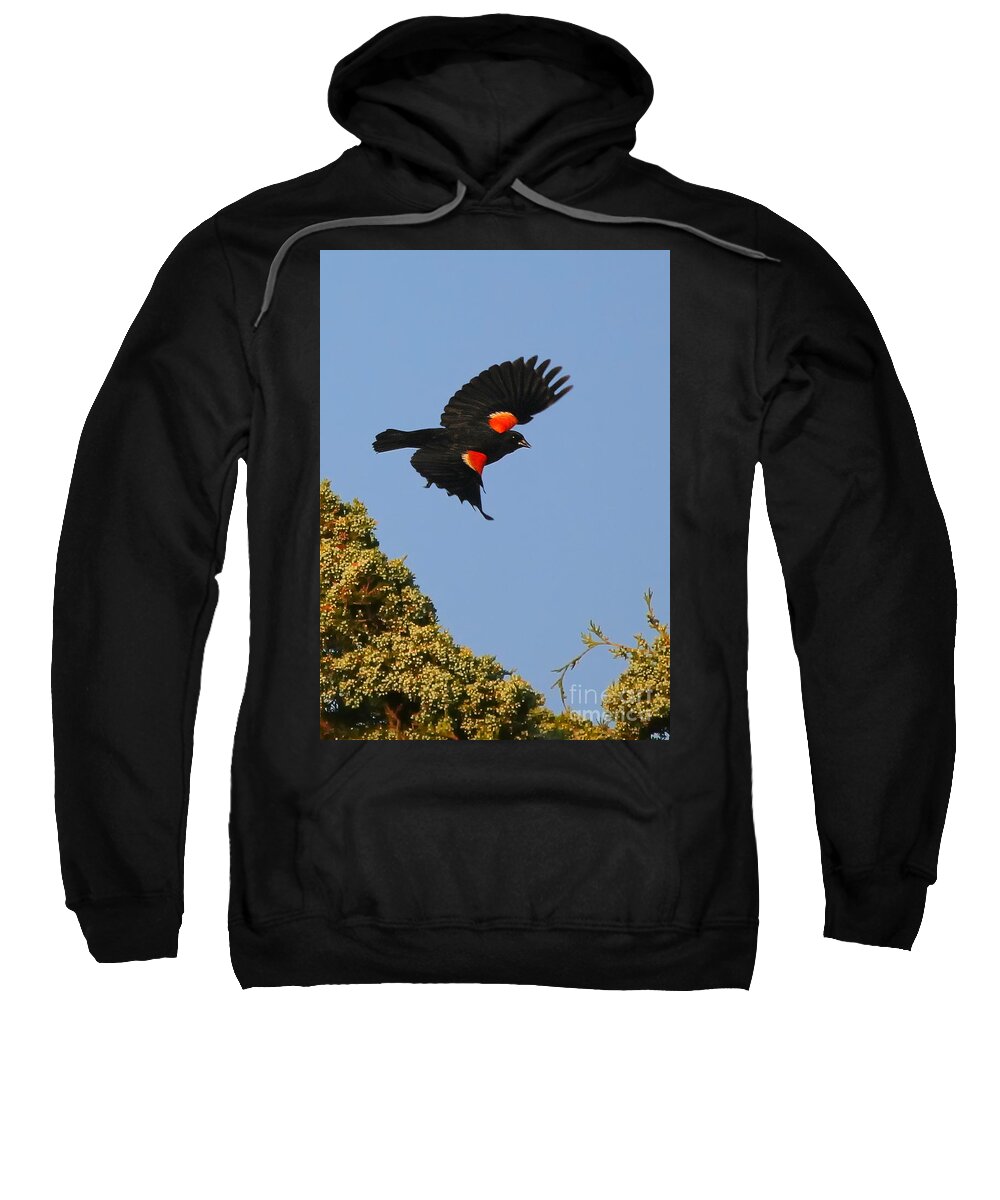 Blackbirds Sweatshirt featuring the photograph Final Approach by Geoff Crego