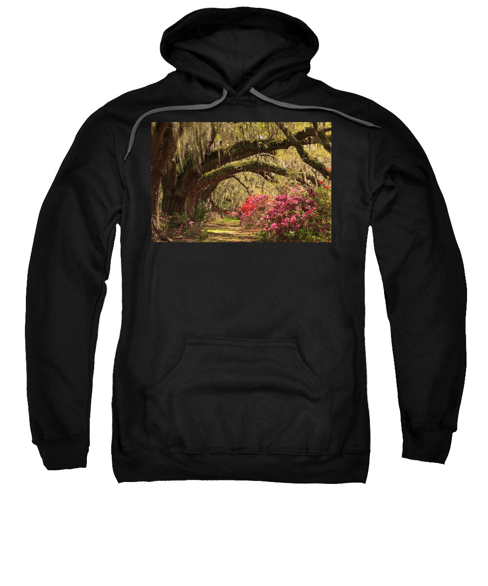 Magnolia Plantation And Gardens Sweatshirt featuring the photograph Garden View by Patricia Schaefer