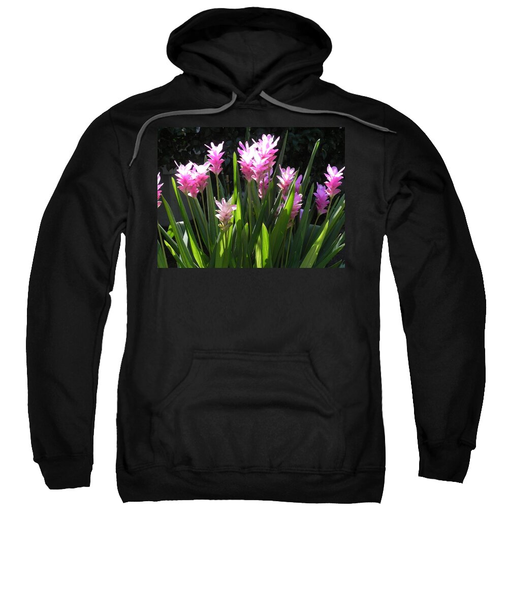 Goner In Bloom Sweatshirt featuring the photograph Ginger Is A Complete Surprise In Bloom by Patricia Greer