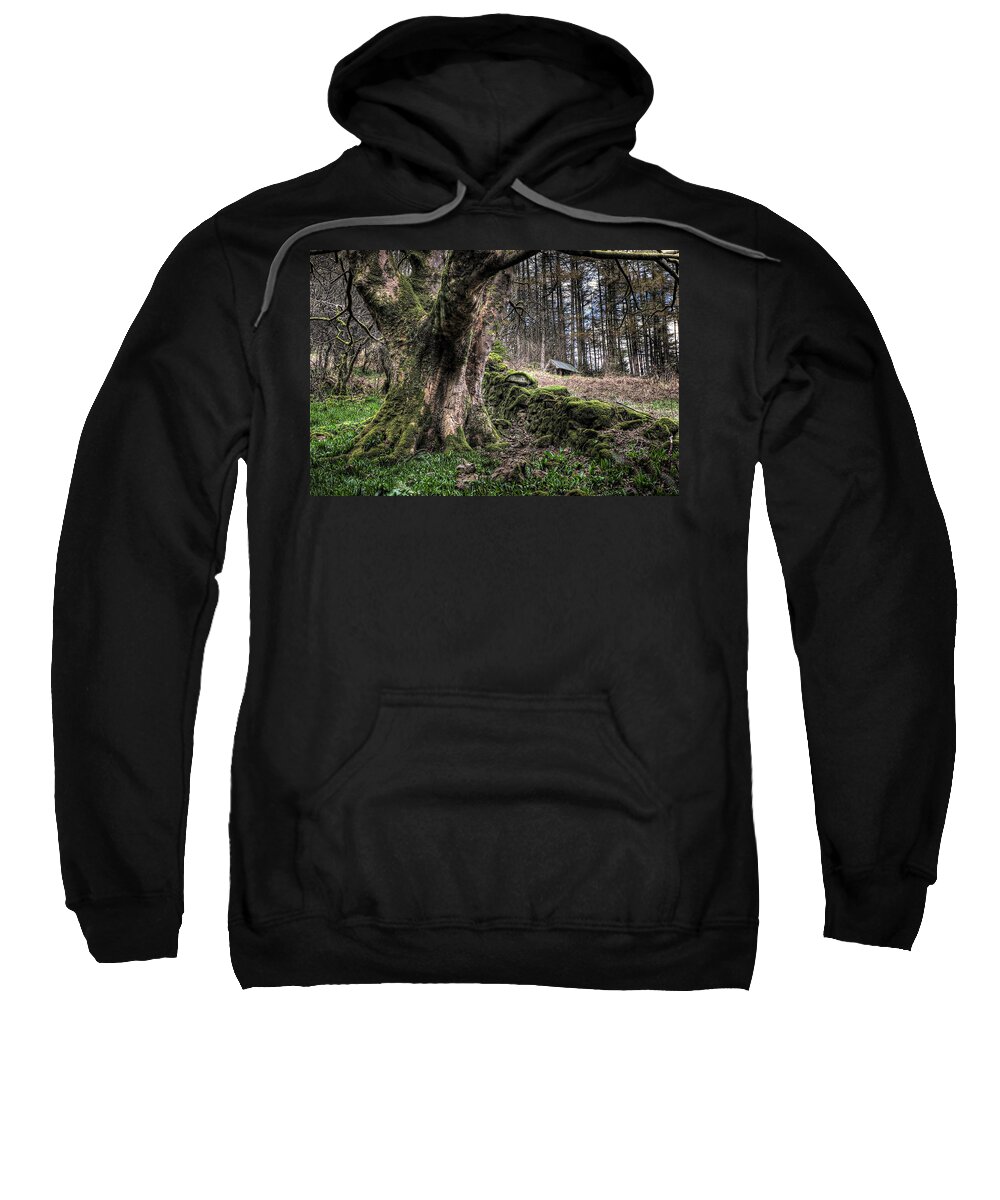 Glenariff Sweatshirt featuring the photograph Glenariff Forest by Nigel R Bell