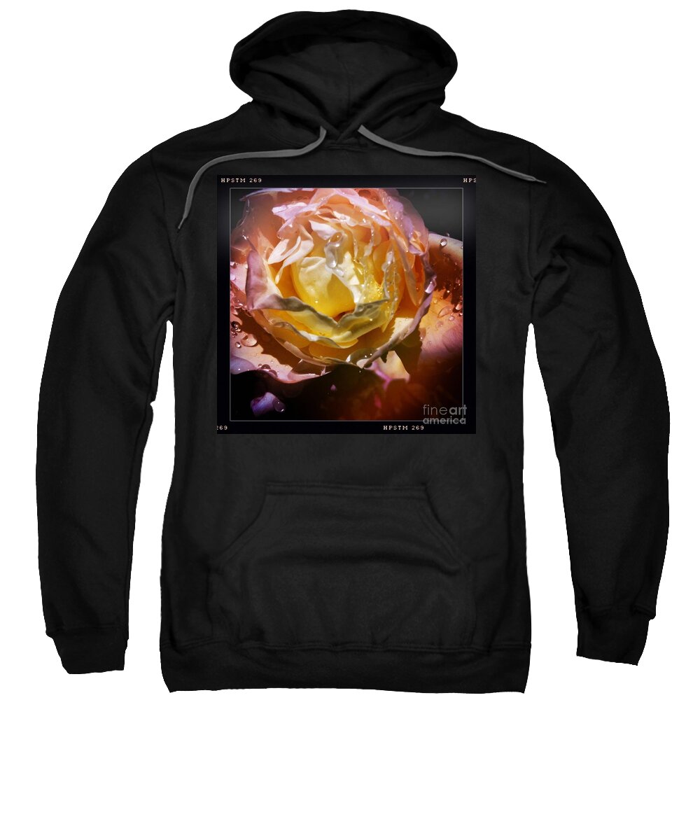 Raindrops Sweatshirt featuring the photograph Glistening Rose by Denise Railey