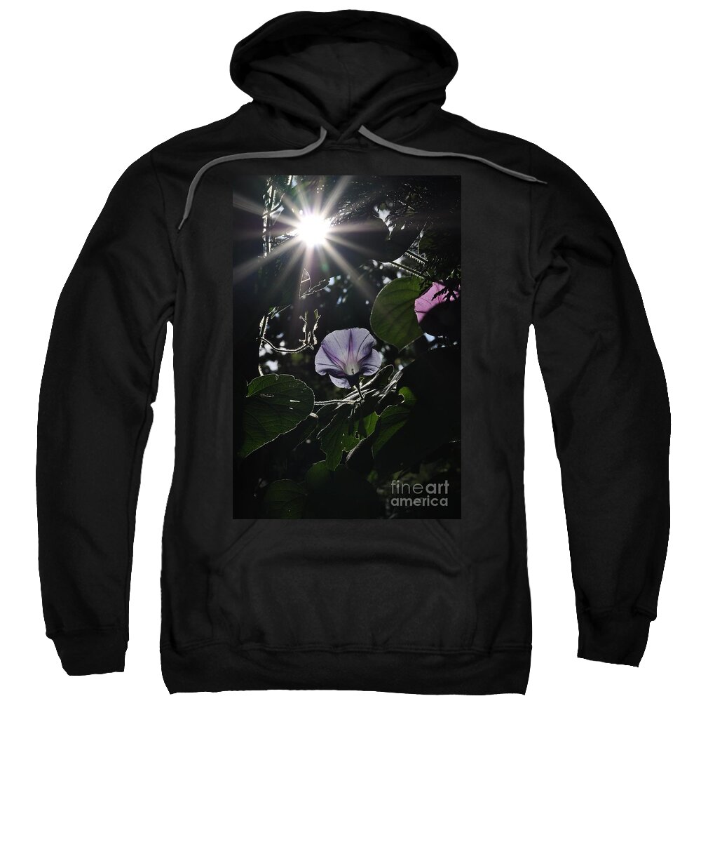 Morning Glory Sweatshirt featuring the photograph Glorious by Cheryl Baxter