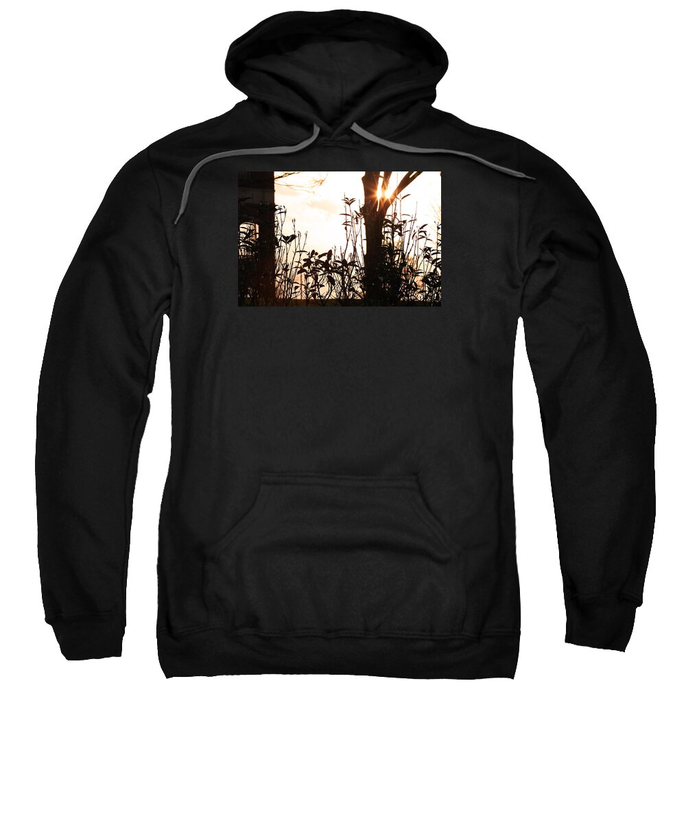 Flower Artwork Sweatshirt featuring the photograph Glowing Landscape by Mary Buck