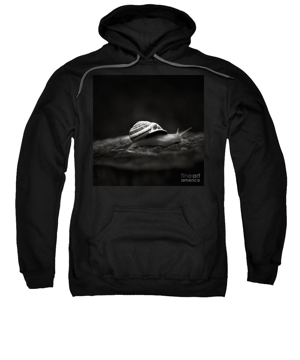 Snail Sweatshirt featuring the photograph Going East by Trish Mistric