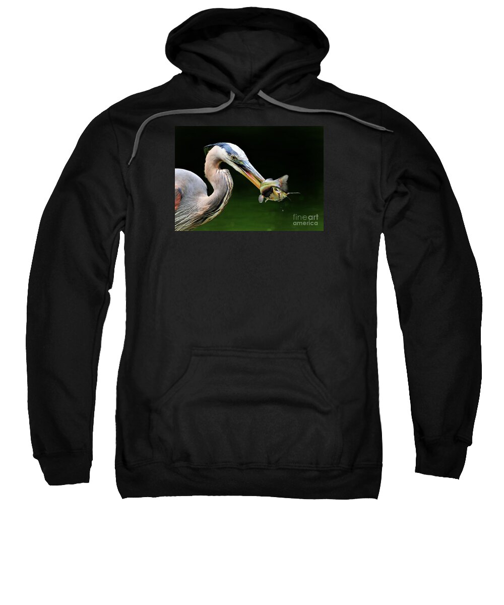 Heron Sweatshirt featuring the photograph Great Blue Heron And The Catfish by Kathy Baccari