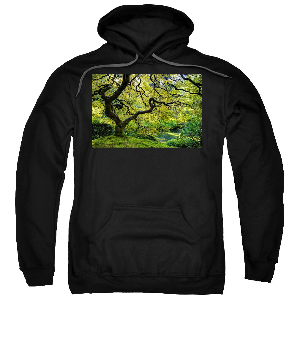 Maple Sweatshirt featuring the photograph Green by Dustin LeFevre