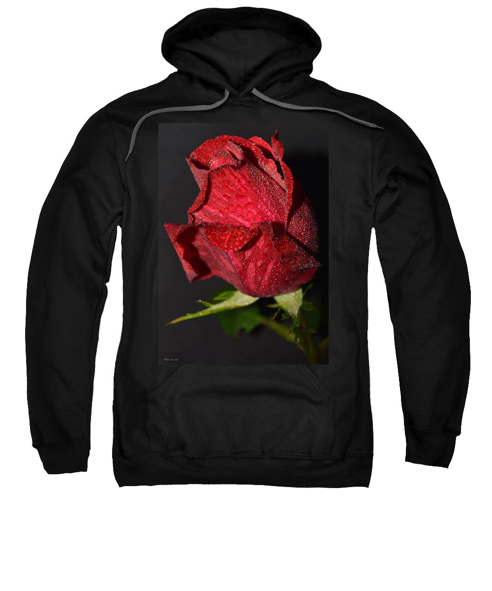 Color Sweatshirt featuring the photograph Happy Rose by Felicia Tica