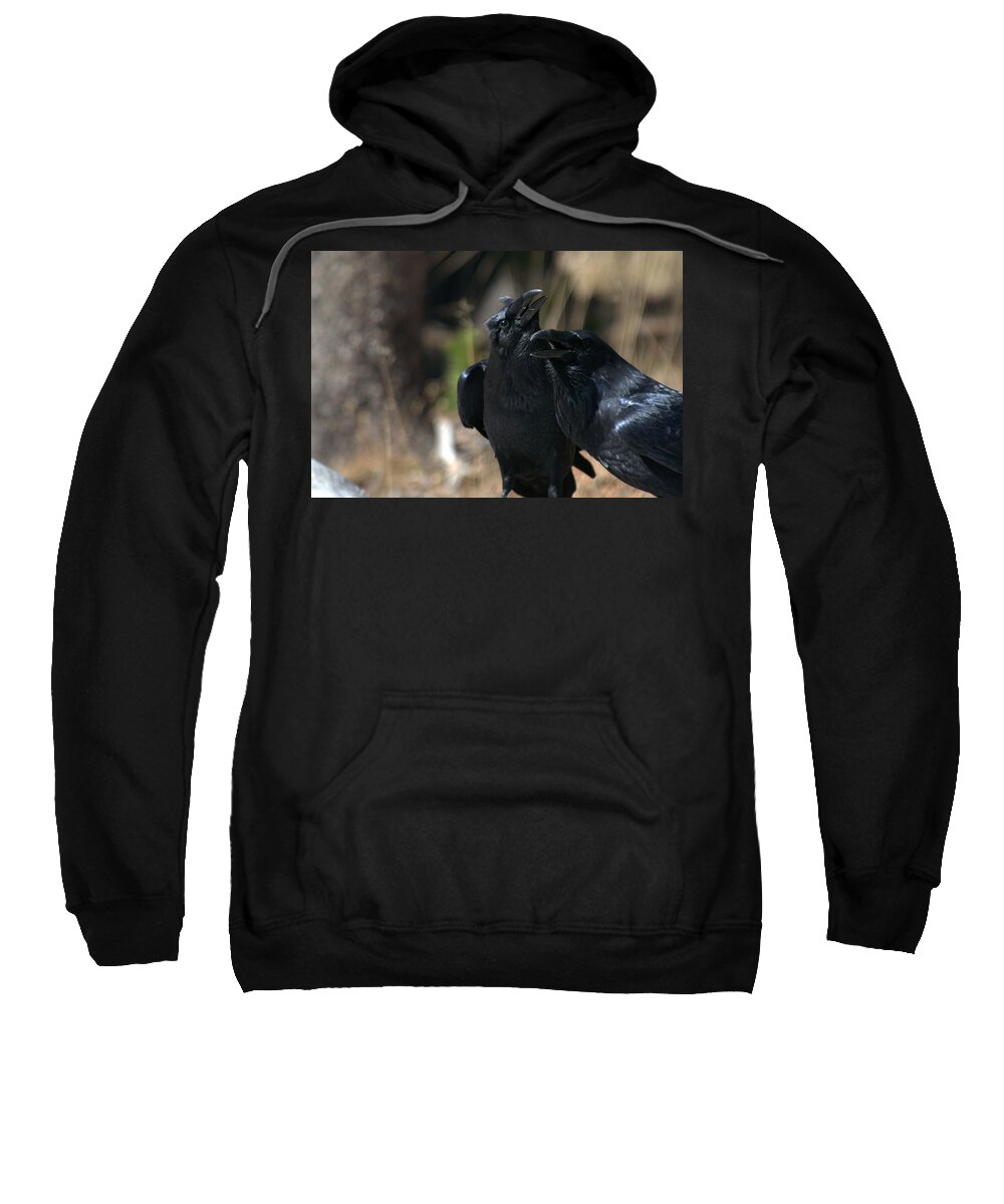 Raven Sweatshirt featuring the photograph Here he is by Frank Madia