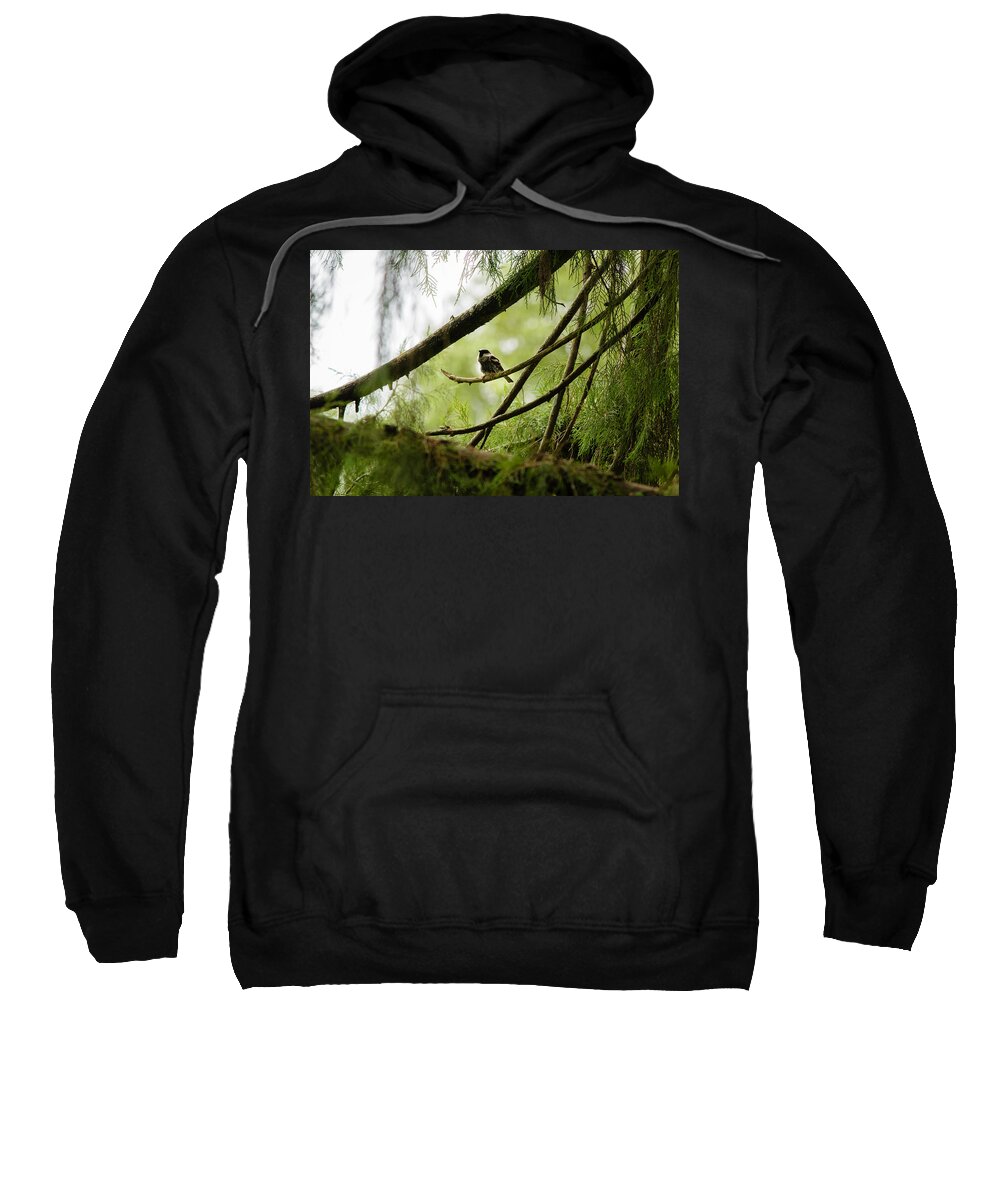 Sparrow Sweatshirt featuring the photograph House Sparrow by SAURAVphoto Online Store