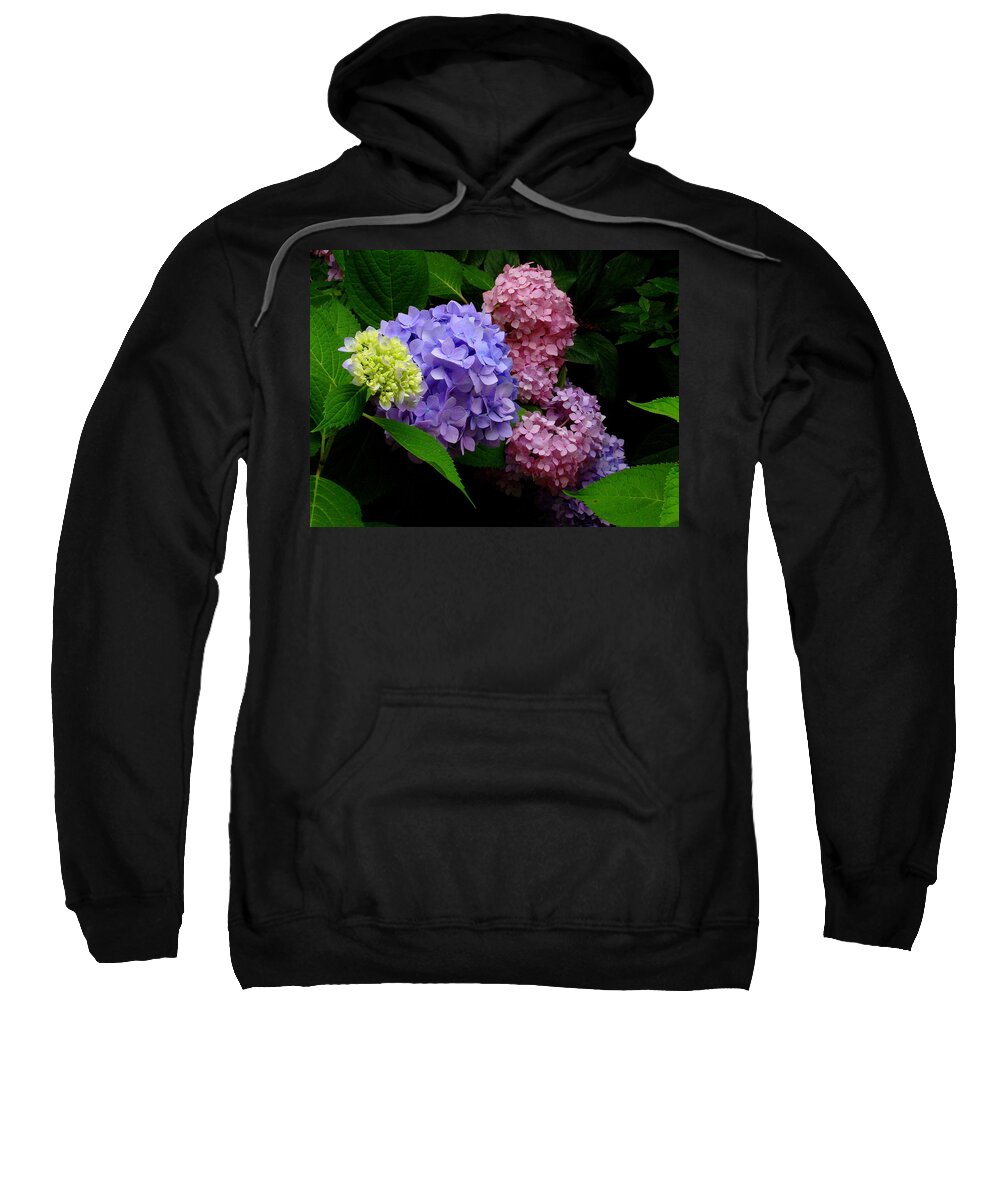 Fine Art Sweatshirt featuring the photograph Hydrangea Glow by Rodney Lee Williams