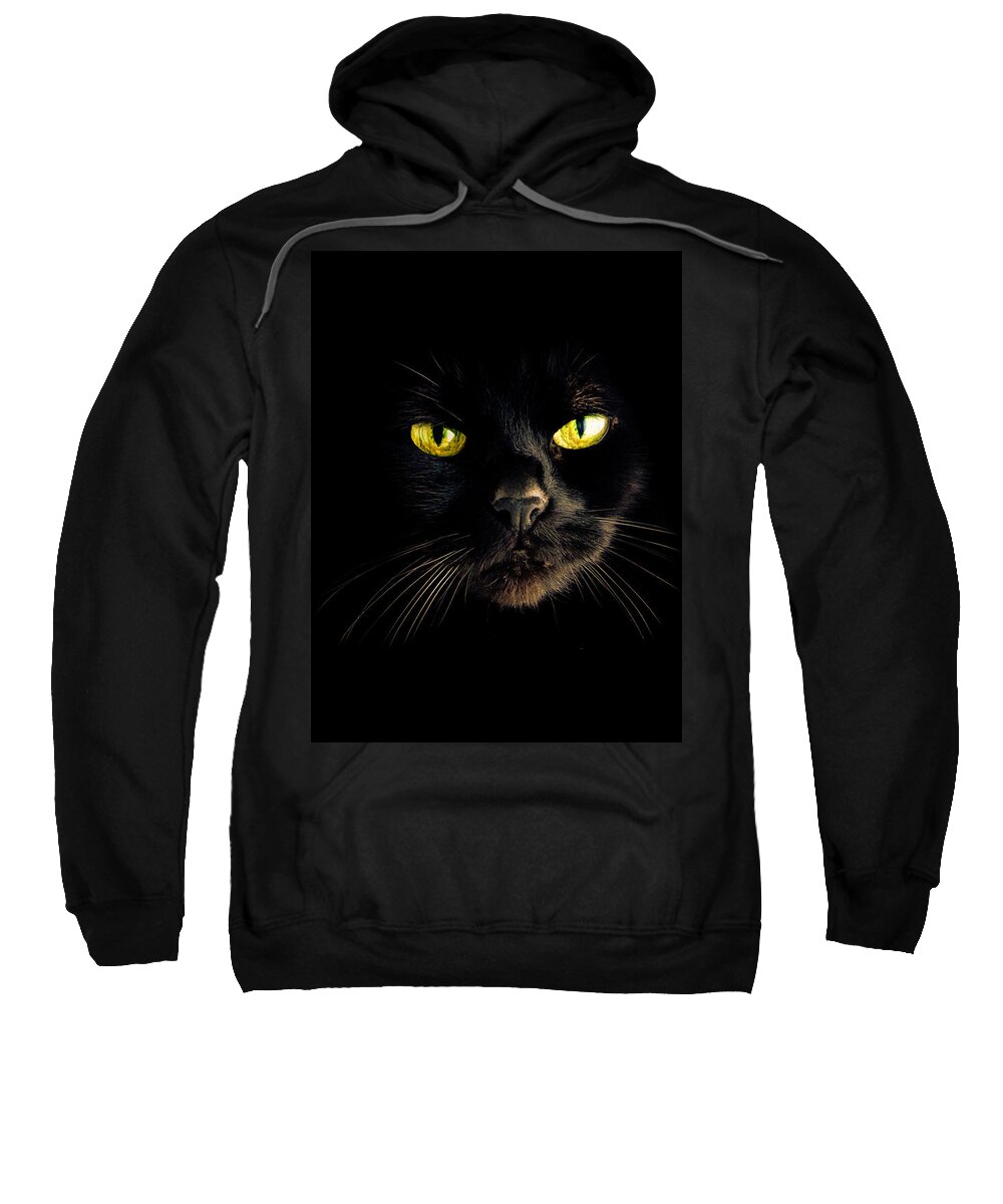Animal Sweatshirt featuring the photograph In the shadows One Black Cat by Bob Orsillo
