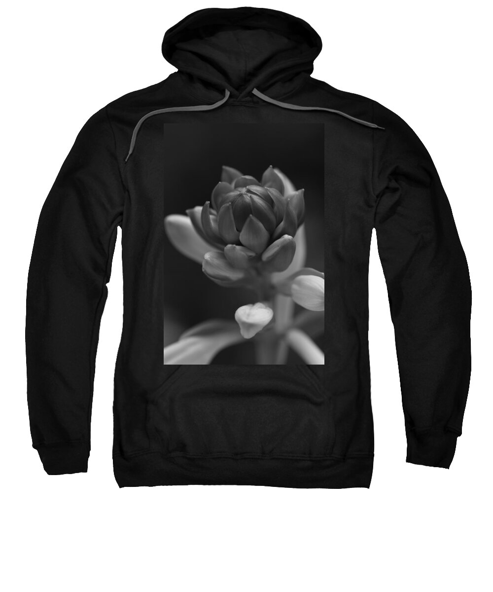 Flower Sweatshirt featuring the photograph In Time by Paul Watkins