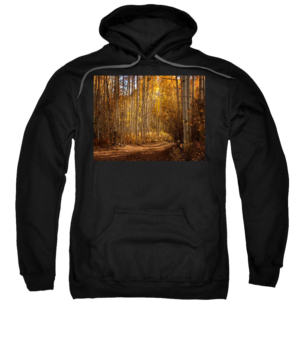 Landscape Sweatshirt featuring the photograph Into the Color by Steven Reed