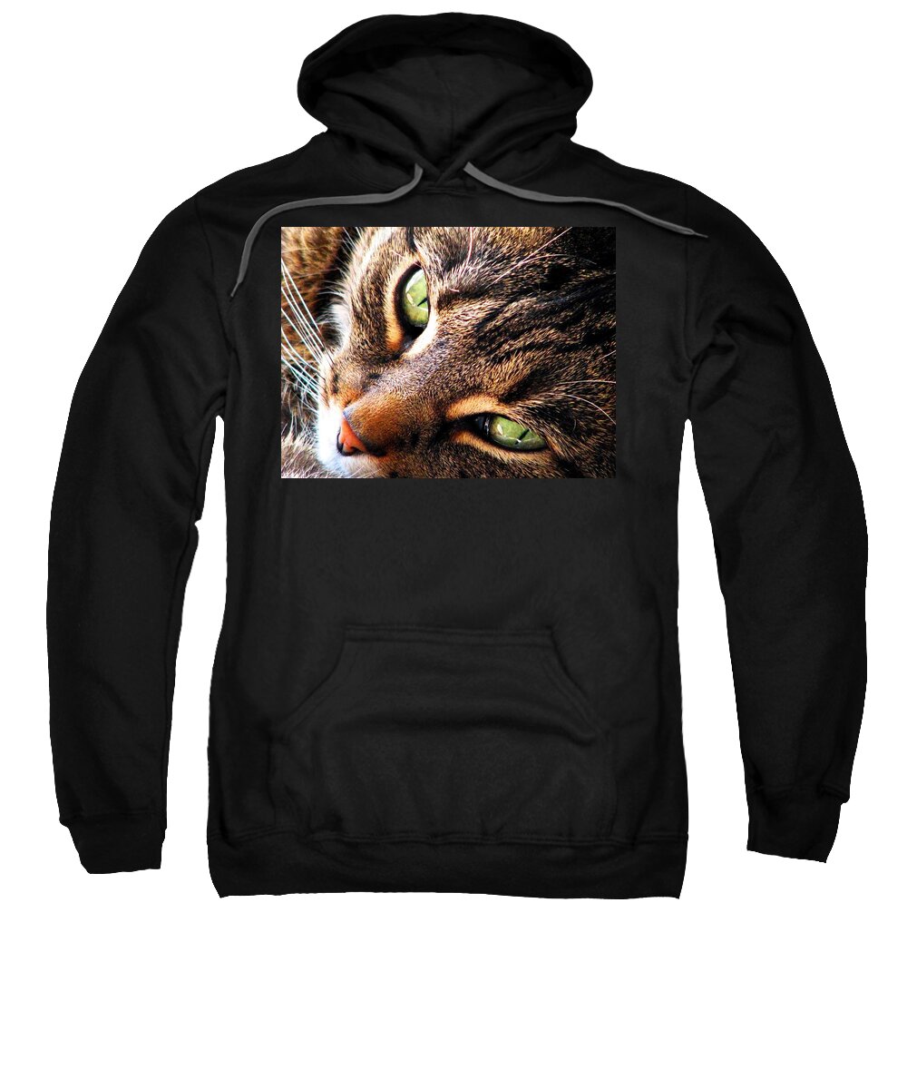 Cats Sweatshirt featuring the photograph Learn To Linger by Angela Davies