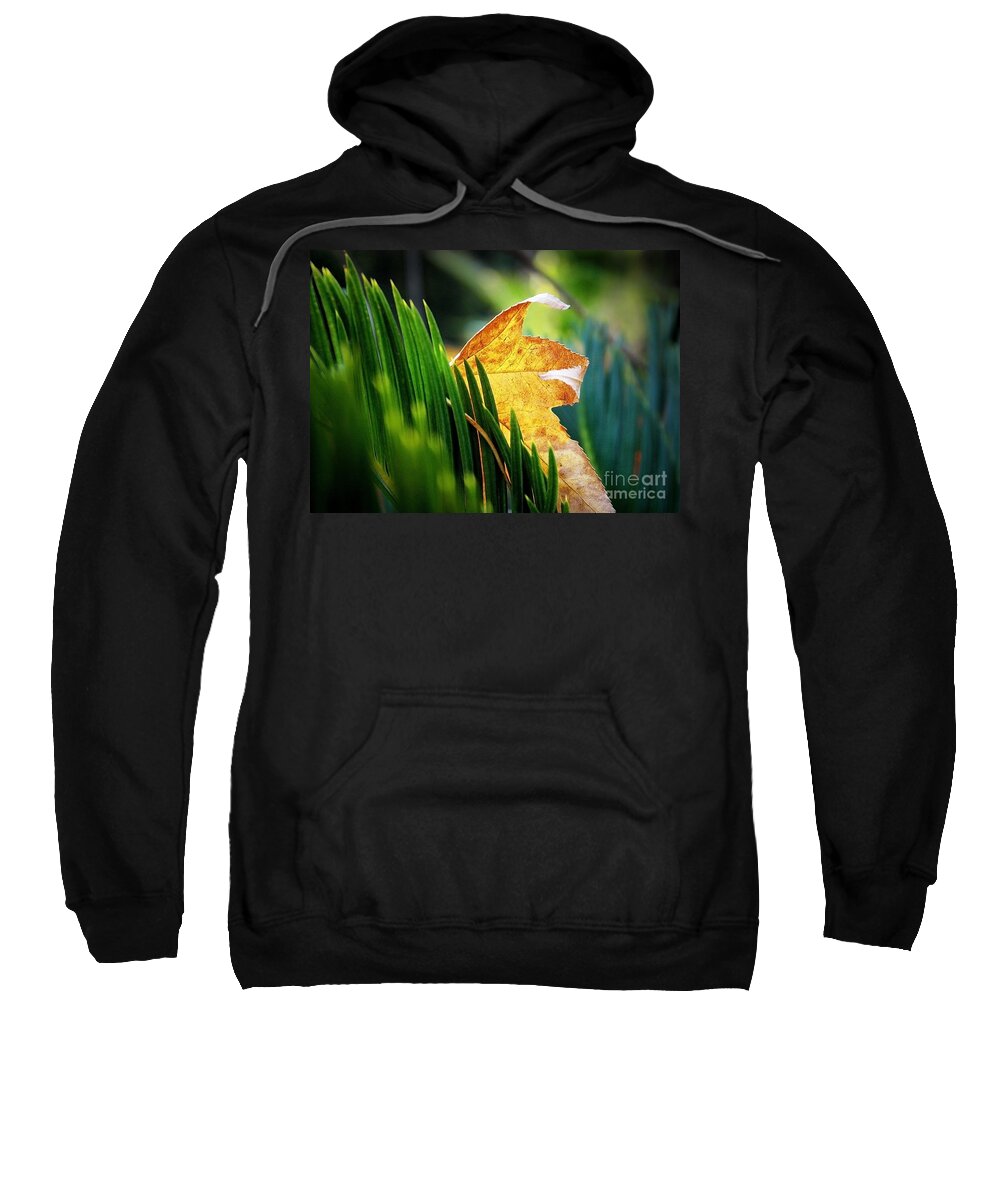 Leaves Of Grass Sweatshirt featuring the photograph Leaves of Grass by Ellen Cotton