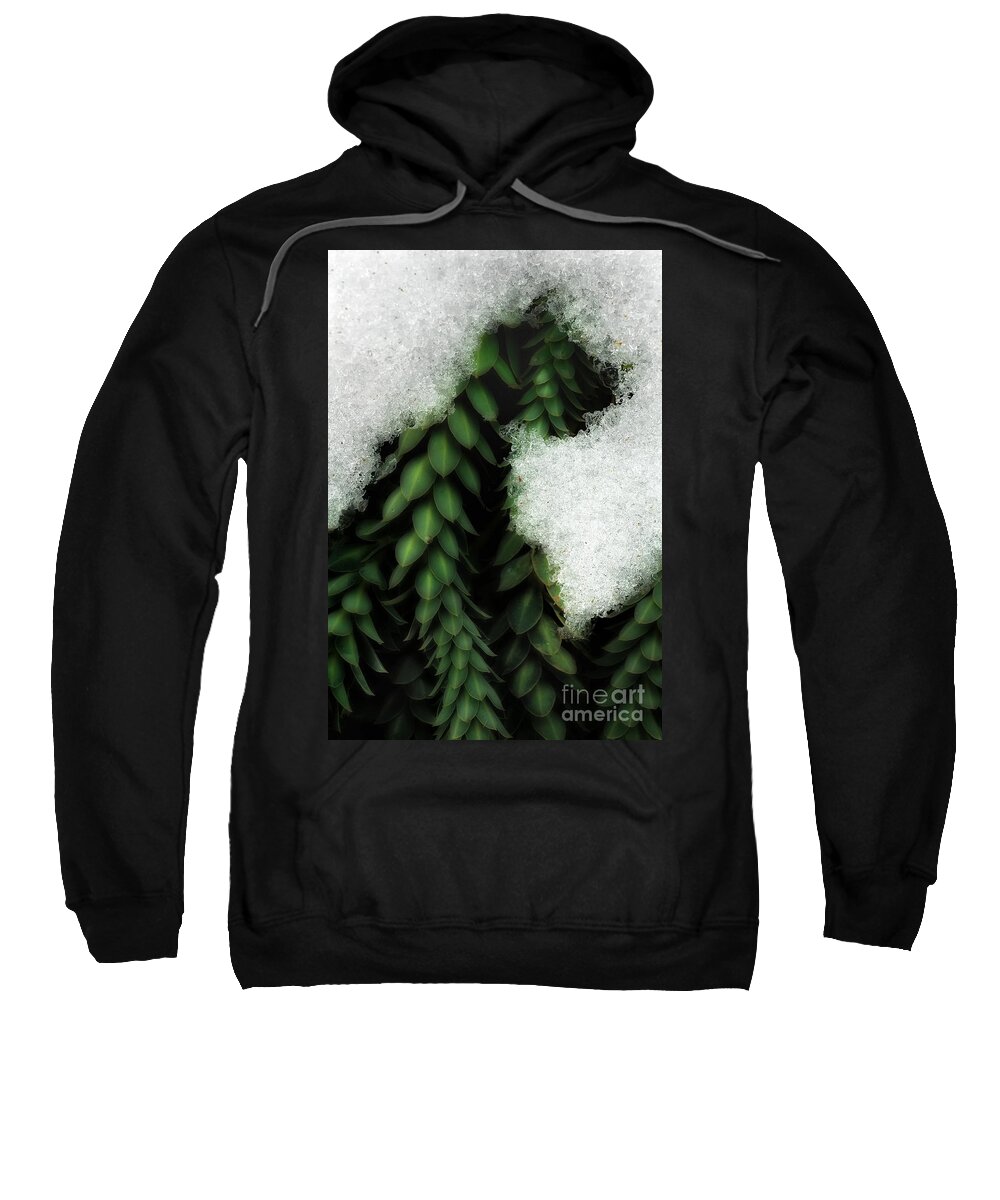 Life Sweatshirt featuring the photograph Life After Winter by Mike Nellums